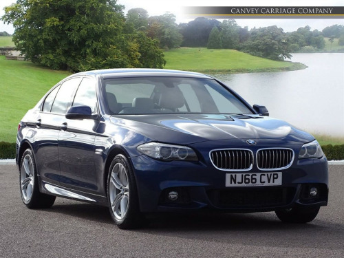 BMW 5 Series  2.0 M Sport Auto Euro 6 (s/s) 4dr